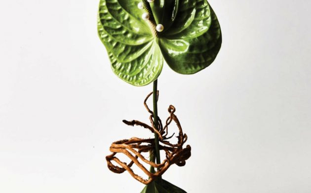 décoration tendance freakebana