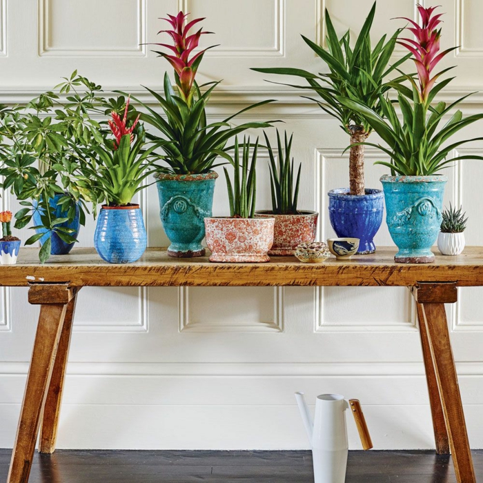 déco couloir étroit avec des plantes