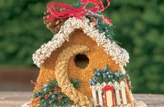 diy mangeoire oiseaux comestible