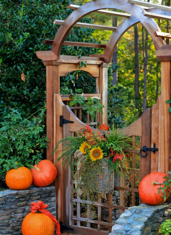 portillon de jardin en bois et arche en bois