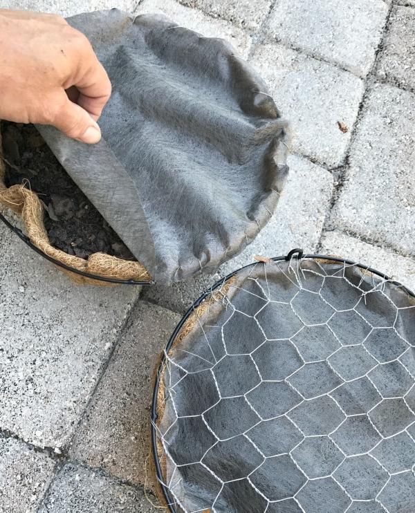 diy jardinière originale tortue avec des succulentes deuxième étape