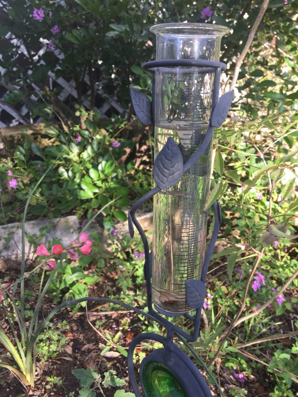 chaîne de pluie récipient en verre 