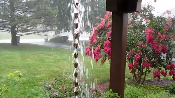 chaîne de pluie vers l’arbuste 