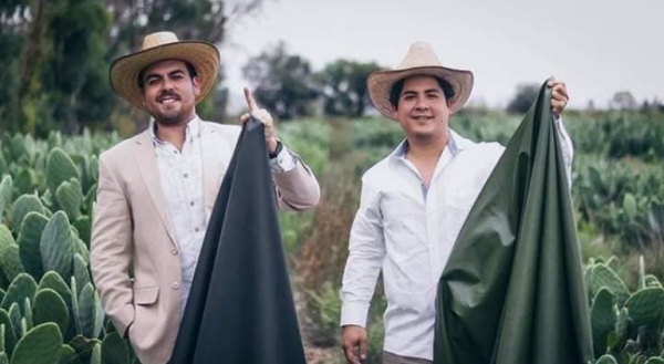 cuir artificiel de cactus deux entrepreneurs mexicains 
