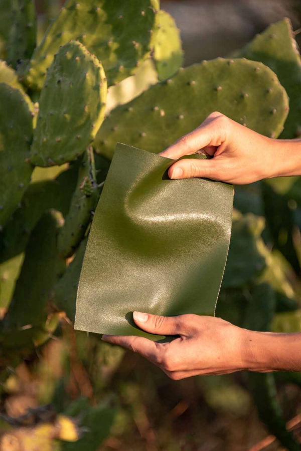cuir artificiel de cactus sensation du cuir véritable 
