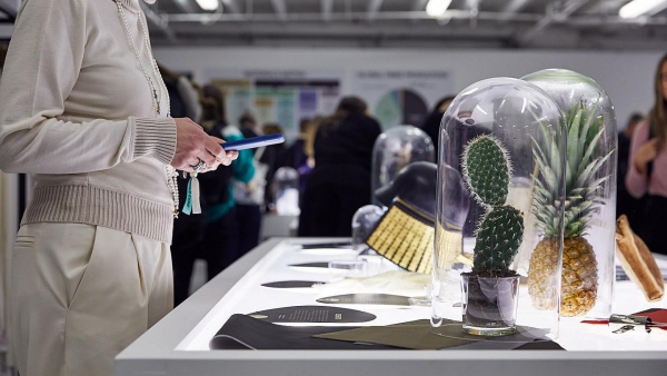 cuir artificiel de cactus un avenir promettant 