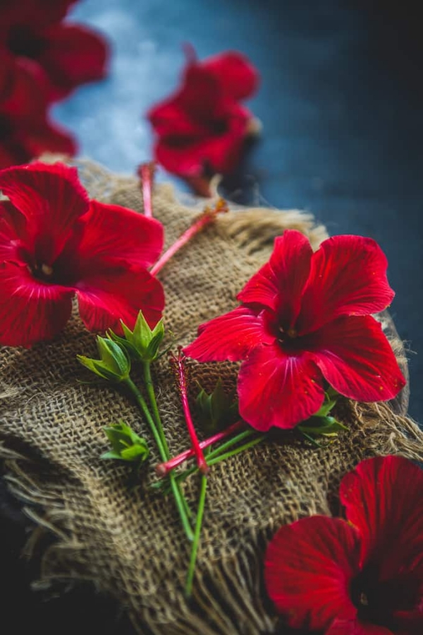 diy jus de bissap à partir de fleurs d'hibiscus