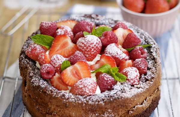 gâteau sans gluten chocolat saupoudrer de sucre en poudre 