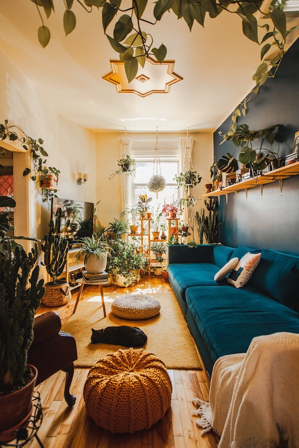 amenagement de salon ethnique avec canapé bleu paon, pouf tressée et plusieurs plantes vertes en pot