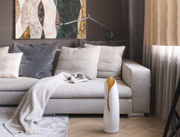 idée comment aménager son salon cocooning et élégant