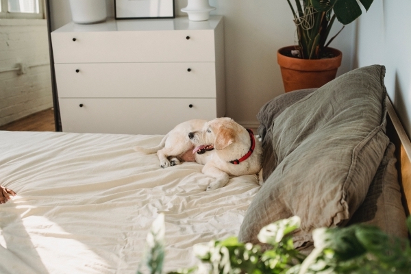 idee comment décorer une chambre à coucher avec meuble compact