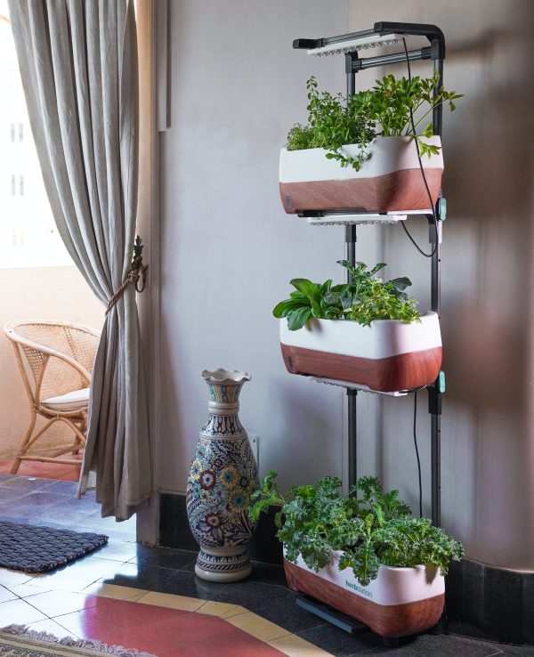 coin potager connecte a l interieur avec jardiniers intelligents