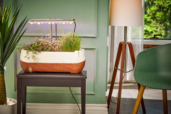 modele appareil intelligent pour culture de plantes à l interieur