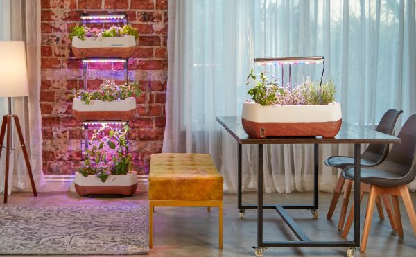 comment décorer une salle à manger avec mur aspect briques rouges