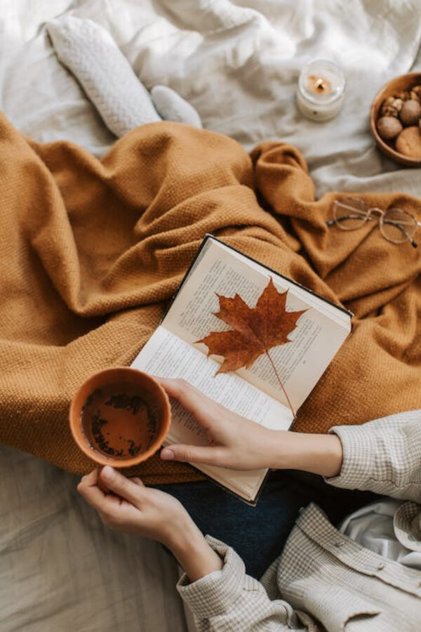 lecture confortable lors des jours froids
