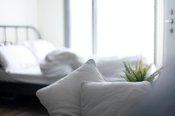 literie choix oreillers blancs lit cadre metal plante verte modele de oreillers modernes ergonomiques en mousse memoire de forme