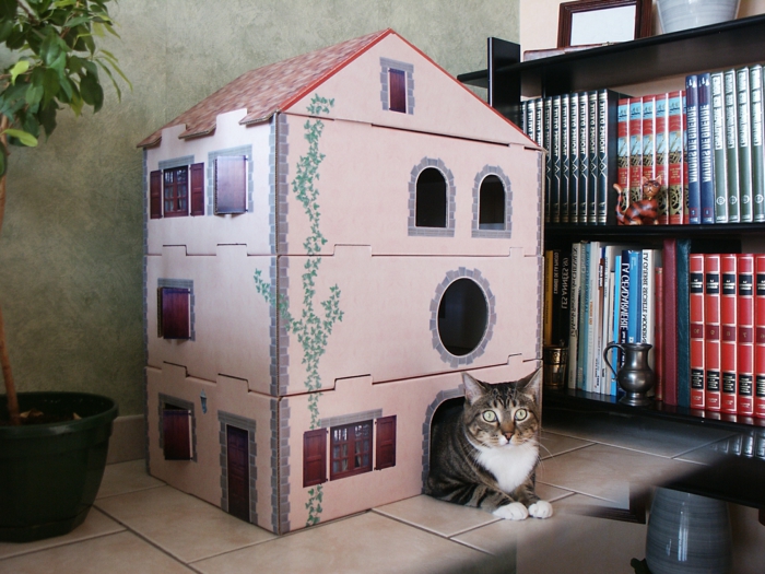 maisonnette pour chat