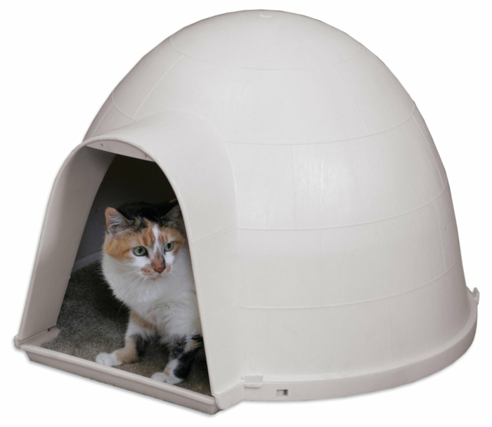 igloo pour chat
