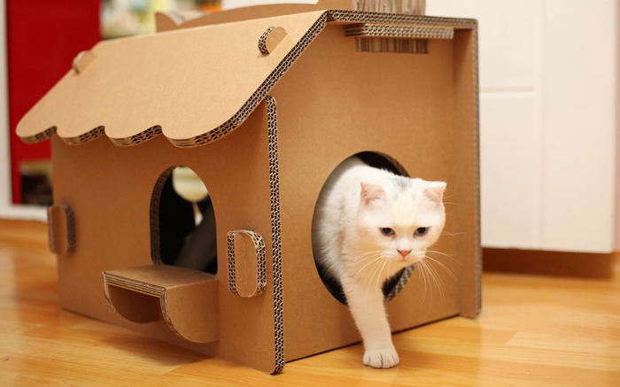 maison chat en carton