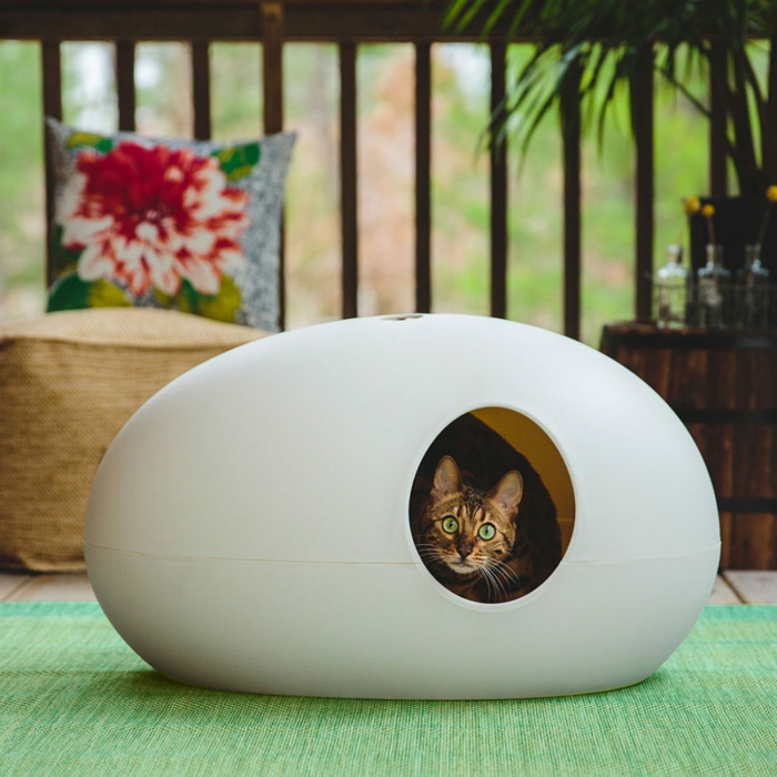 en premier lieu les maisons à chat en forme ovoïde sont très confortables