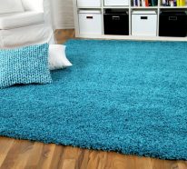 Décorer votre maison avec le tapis shaggy (4)