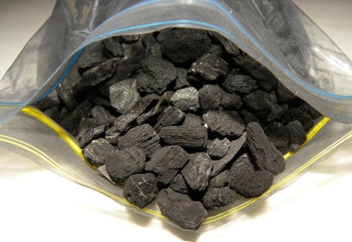 charbon actif terrarium