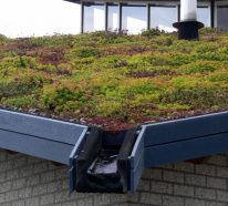 DIY : Créez une toiture végétalisée vous-même (instructions) (3)