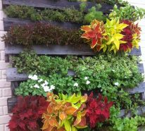 30 idées de superbe mur végétal en palette pour votre intérieur ou extérieur (3)