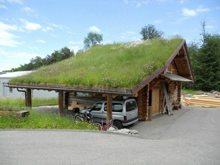 effectivement c'est une maison avec toiture végétalisée