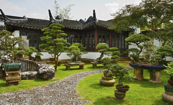 jardin feng shui avec une allée de pierres et des bonzais