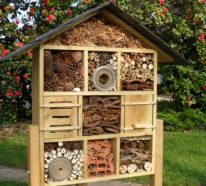Créez vous-même un hôtel à insectes dans votre jardin (1)
