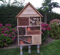 Créez vous-même un hôtel à insectes dans votre jardin (2)