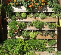 30 idées de superbe mur végétal en palette pour votre intérieur ou extérieur (2)