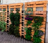 30 idées de superbe mur végétal en palette pour votre intérieur ou extérieur (4)