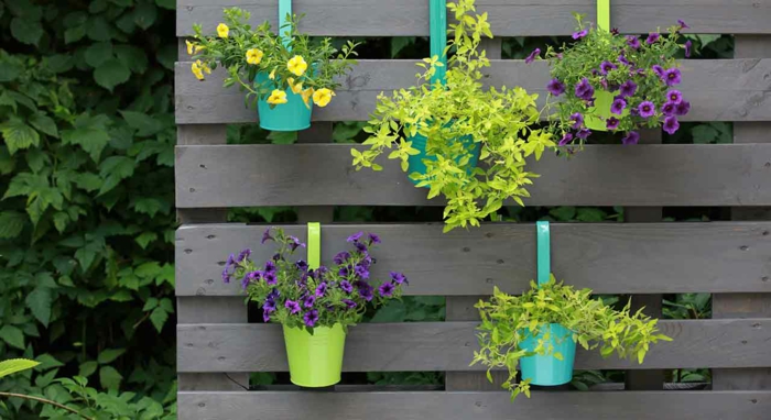 mur végétal en palette avec des pots