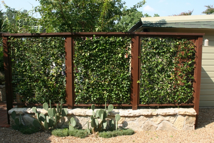 par exemple c'est une palissade de type mur végétal