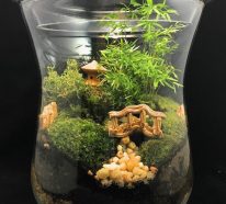 DIY: Faire son propre terrarium plante pour décorer la maison (3)