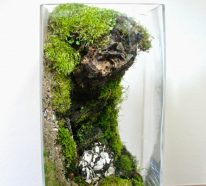 DIY: Faire son propre terrarium plante pour décorer la maison (2)