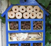 Créez vous-même un hôtel à insectes dans votre jardin (4)