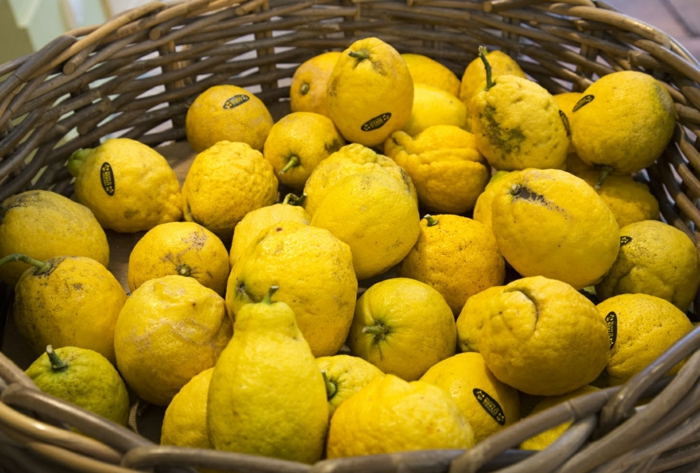 citrons de menton