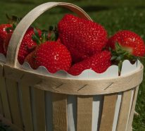 Saines gourmandises aux fraises qui sont faciles à préparer (1)