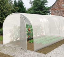 serre de jardin tunnel 224 monter soi m 234 me conseils utiles serre de jardin tunnel 224 monter soi m 234 me conseils utiles
