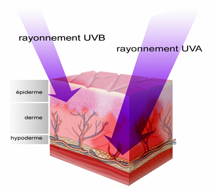 rayonnement UV crème solaire bio