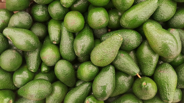 avocado fruit exotique avocat