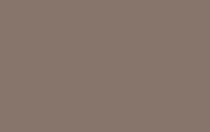 couleur-taupe-image