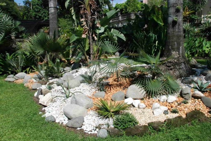 jardin de rocaille palmiers