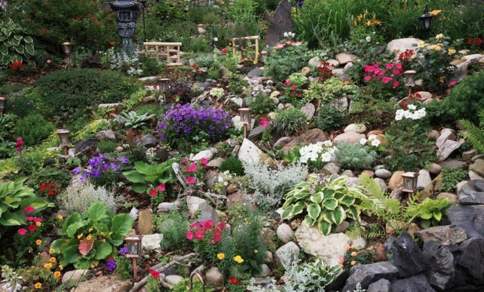 jardin de rocaille plantes alpines
