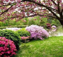 Jardin à l’anglaise – découvrez le charme dans l’irrégularité (3)