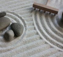 DIY un jardin zen miniature – pour décorer la pièce et relaxer (1)