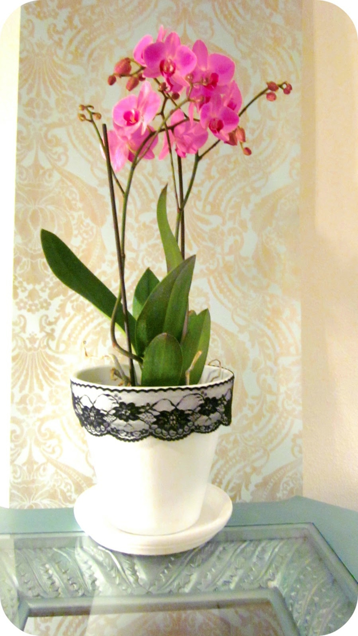 décoration tendance dentelle pour pot d'orchidée